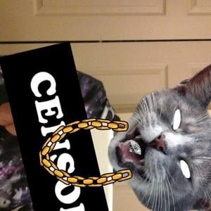 Meet your Posher, Jayden